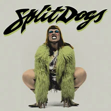 SPLIT DOGS