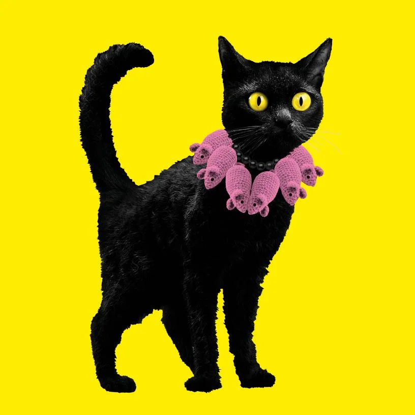 KATZEN!