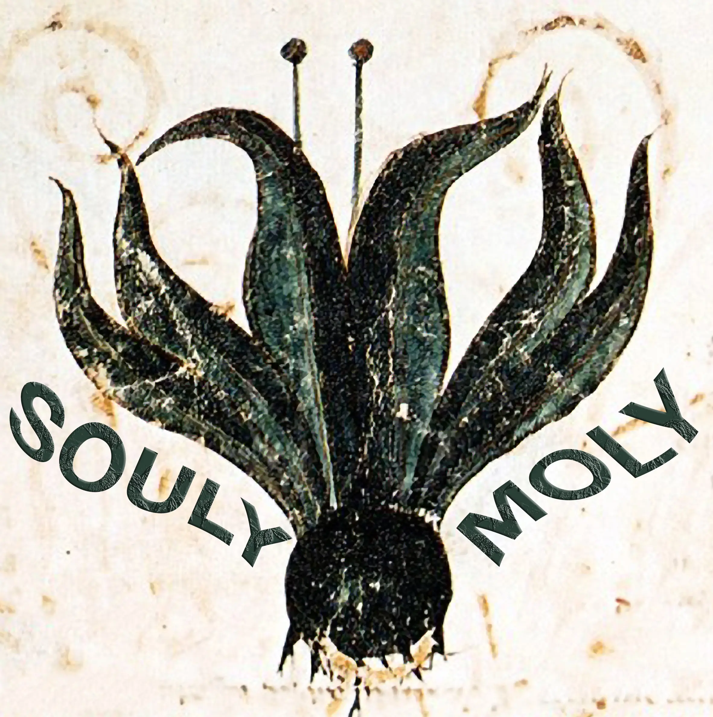 Souly Moly - Soul | RnB | Pop