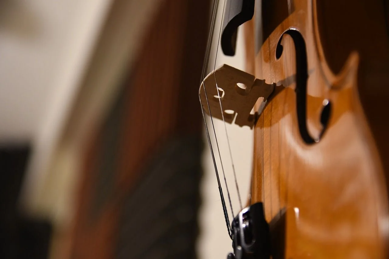 Live-Musik im Taubenhof - Pangea Folk Trio
