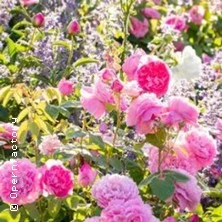 SommerOper