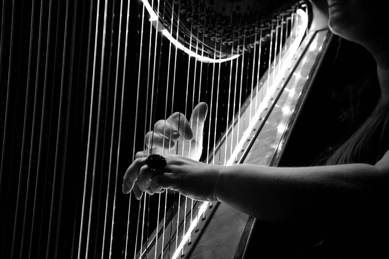 Live-Musik im Taubenhof - Sackville Street