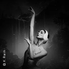 Grand Classic Ballet - Schwanensee - Jenseits der Bühne mit live Streichquartett