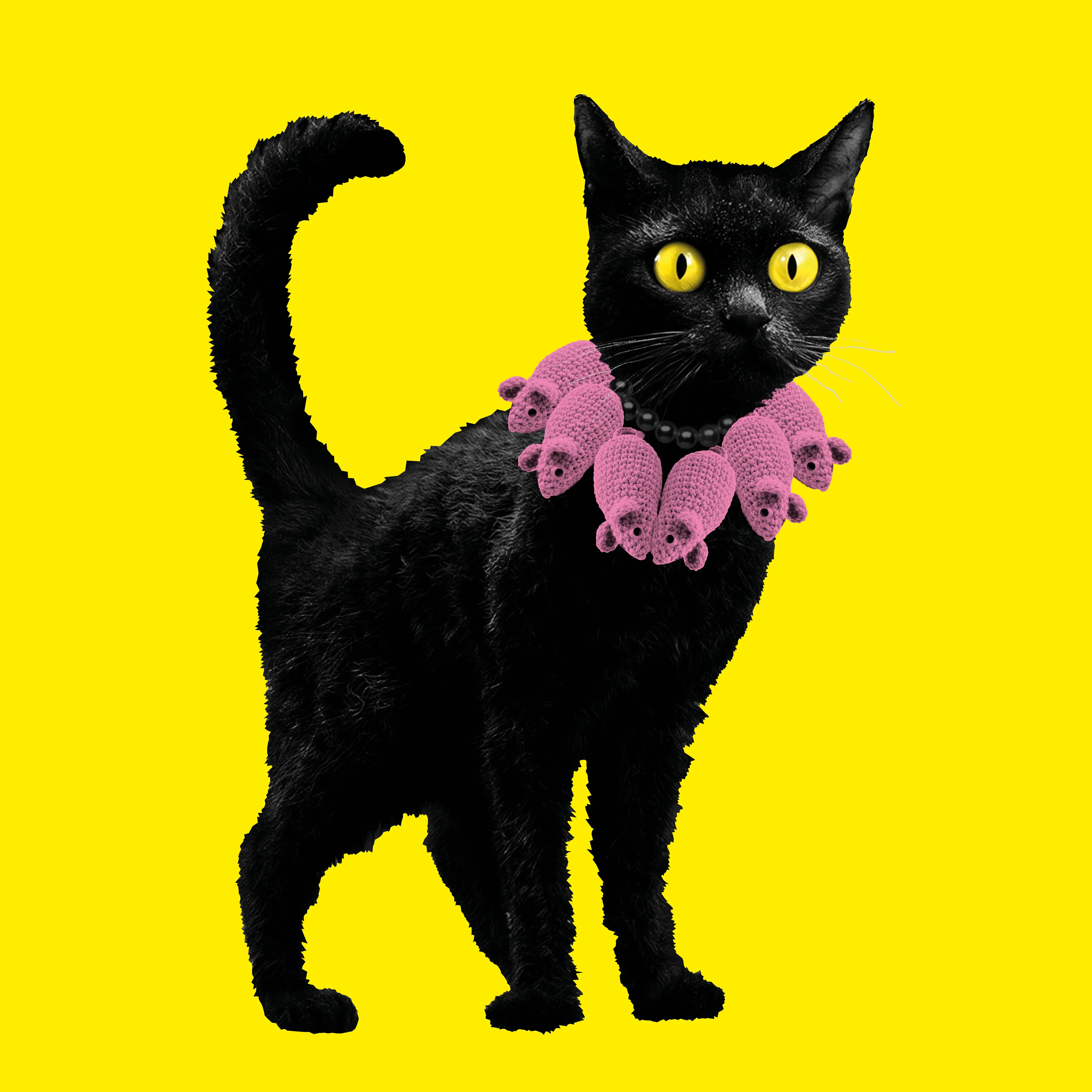 KATZEN!