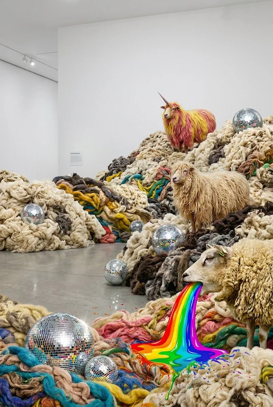 A symphony of wool