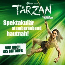 Dernière Disneys Musical TARZAN