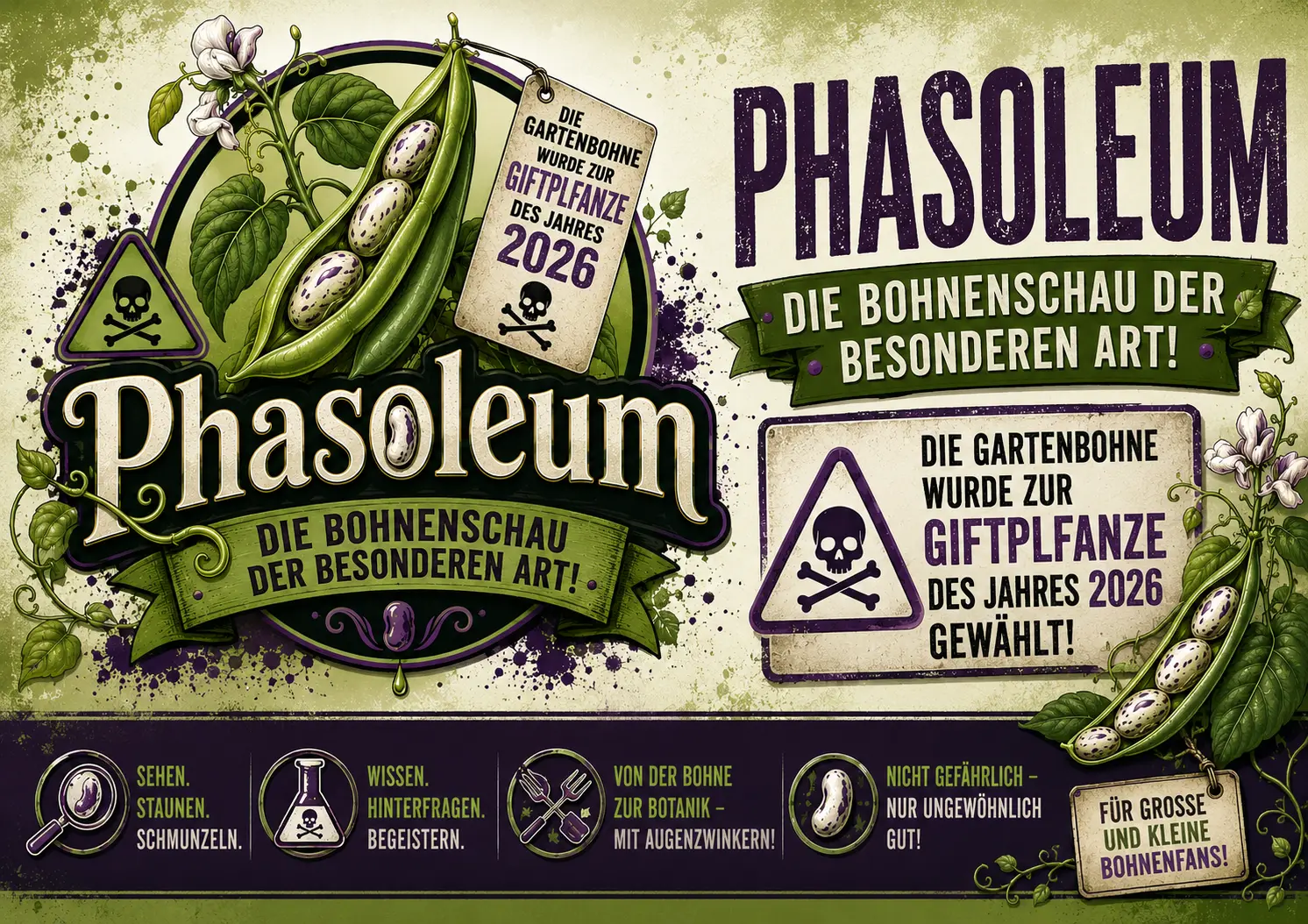 Phasoleum – Die Bohnenschau der beSONDERen Art!