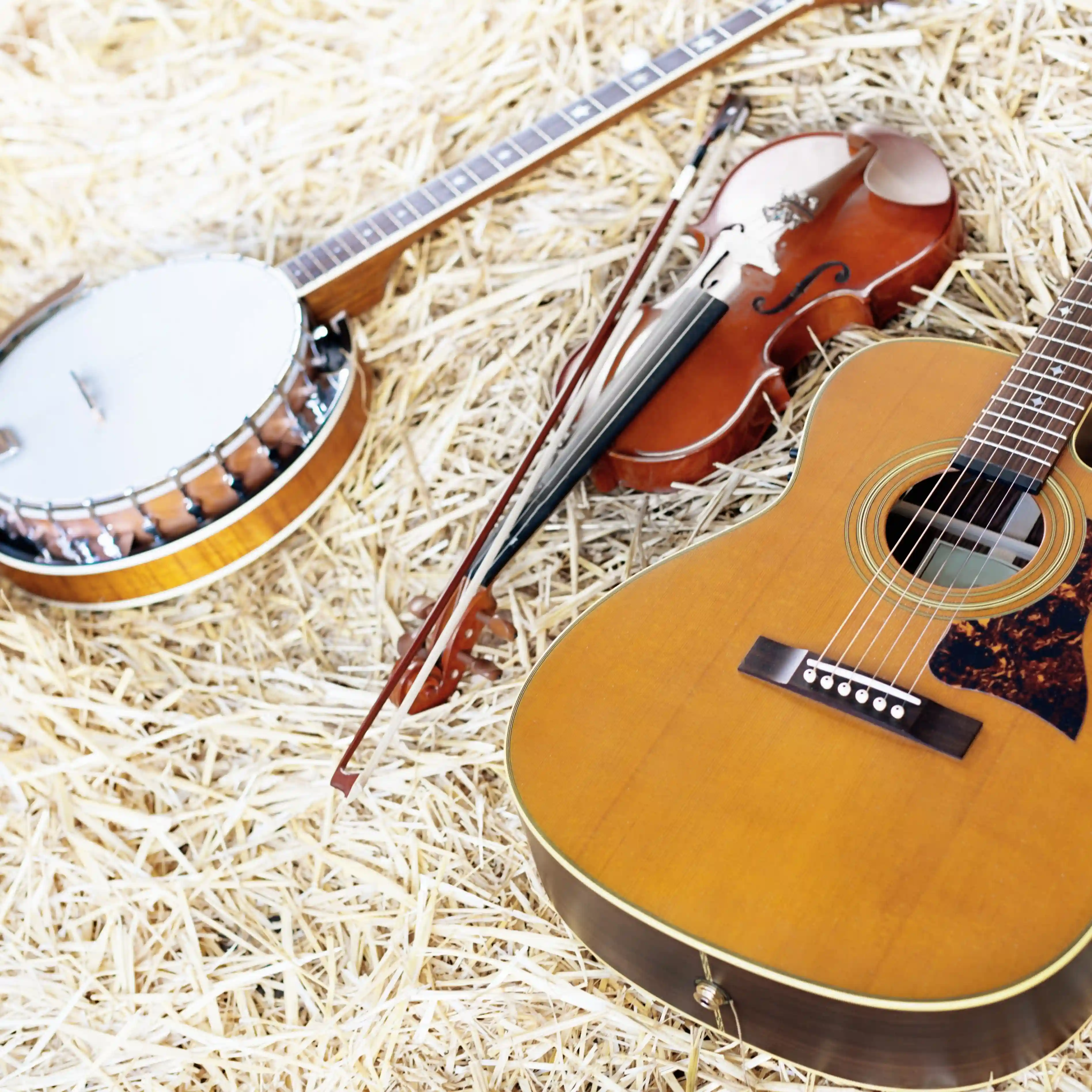 Bluegrass- and Oldtime Session