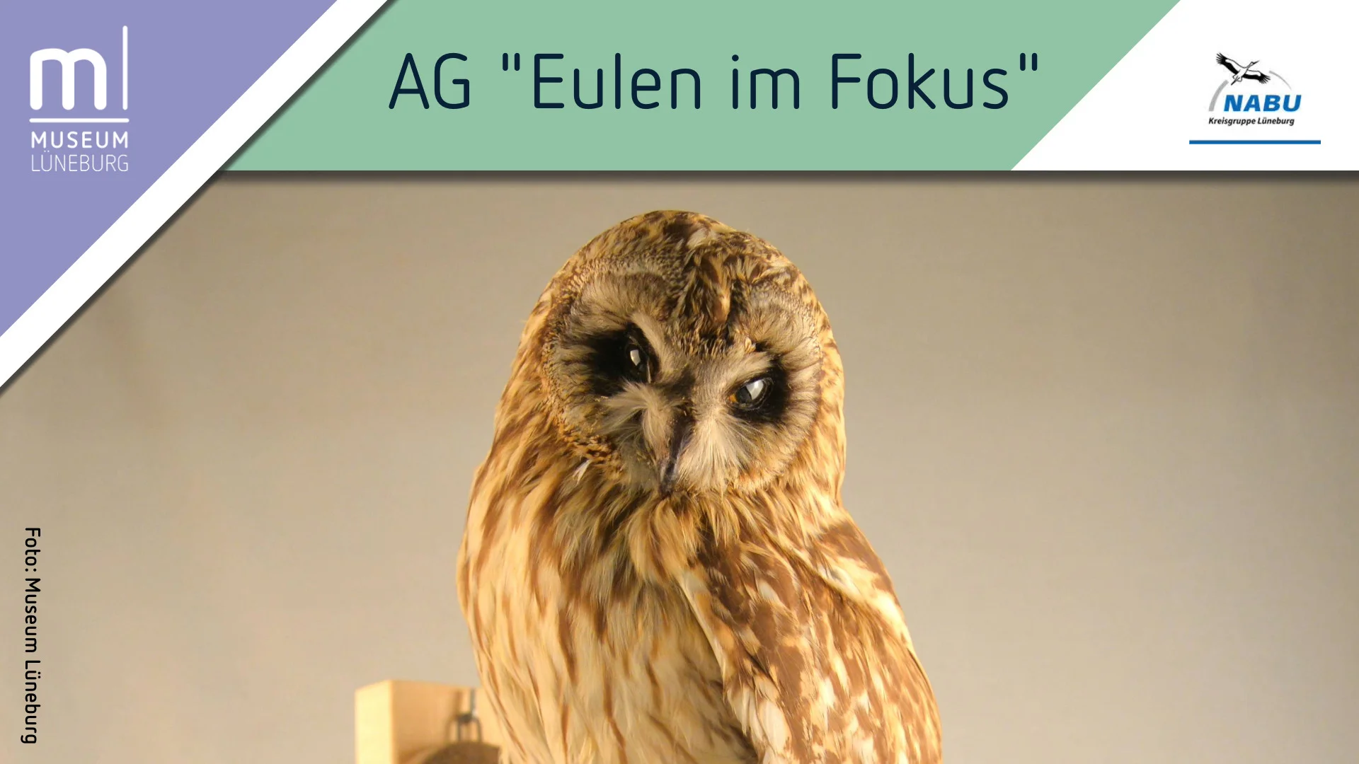 AG "Eulen im Fokus: Gemeinsam für den Artenschutz"